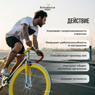 АКТИВ PREMIUM, 60 пастилок